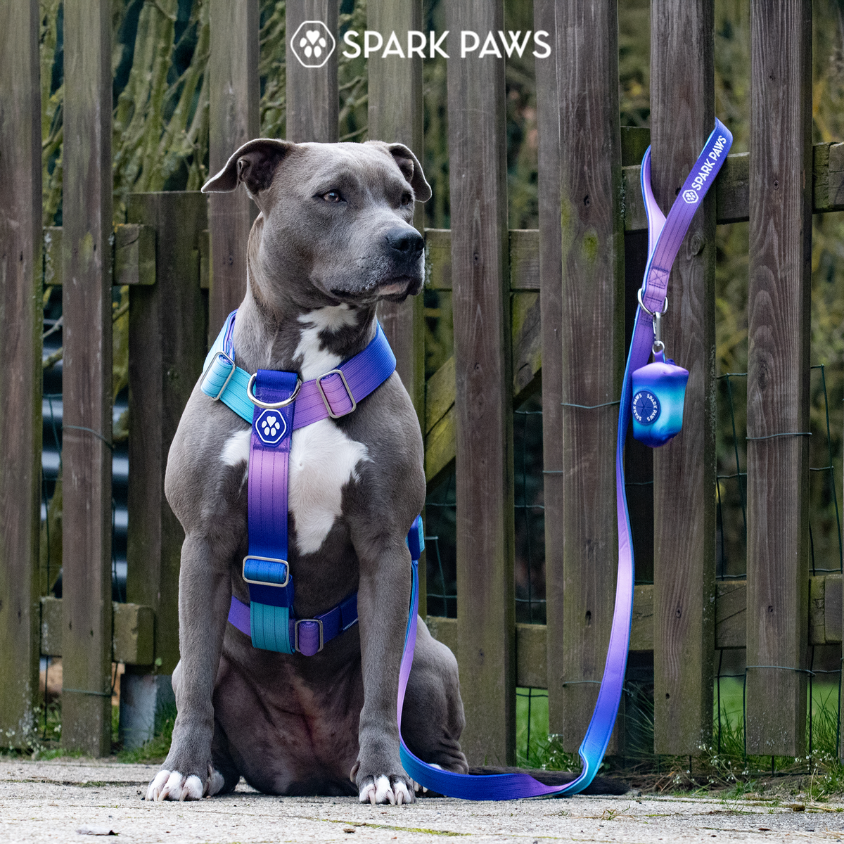 No-Pull Dog Harness product image 8