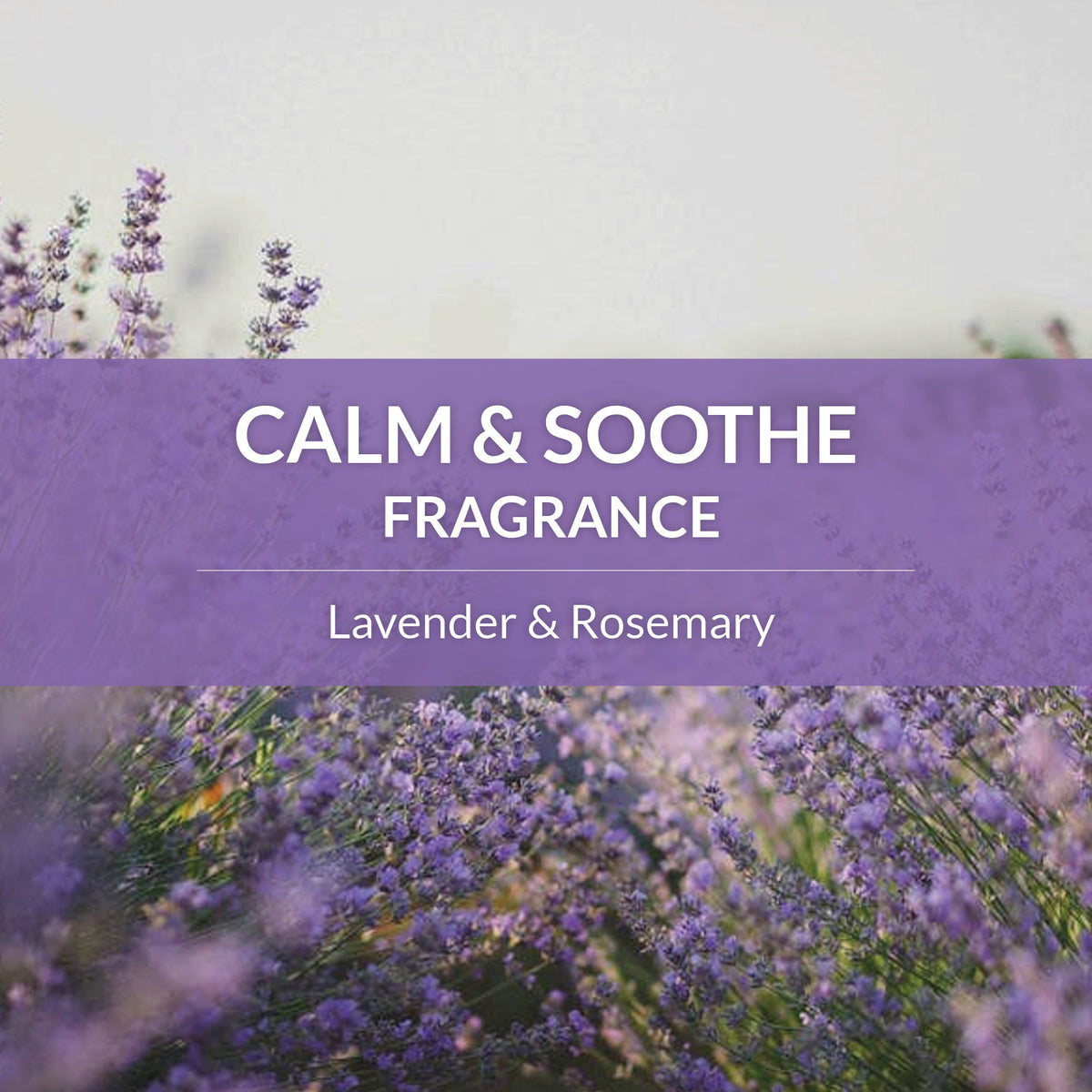 Probiotic Pet Shampoo and Conditioner product image 51