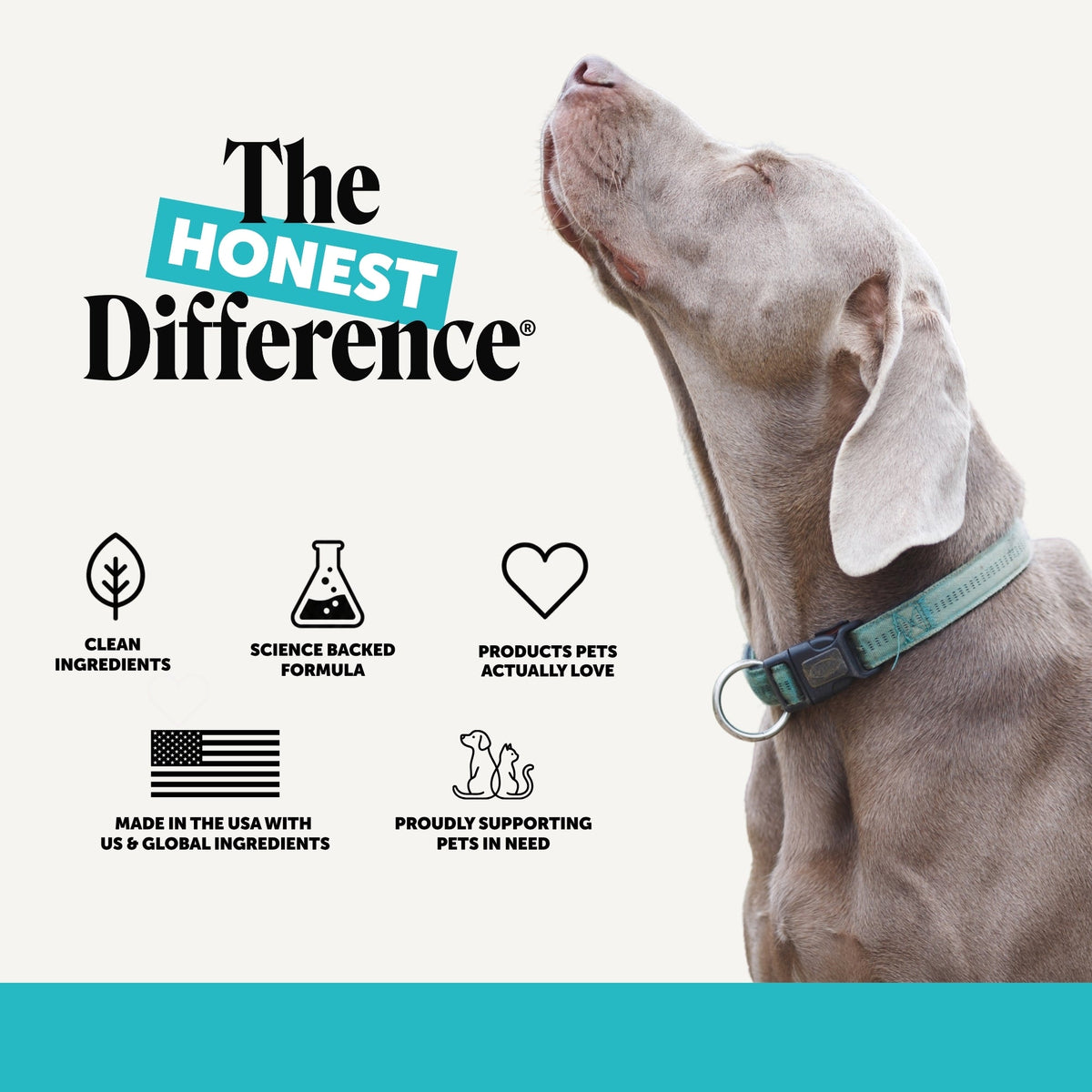 Hemp Calming Soft Chews for Dogs product image 8
