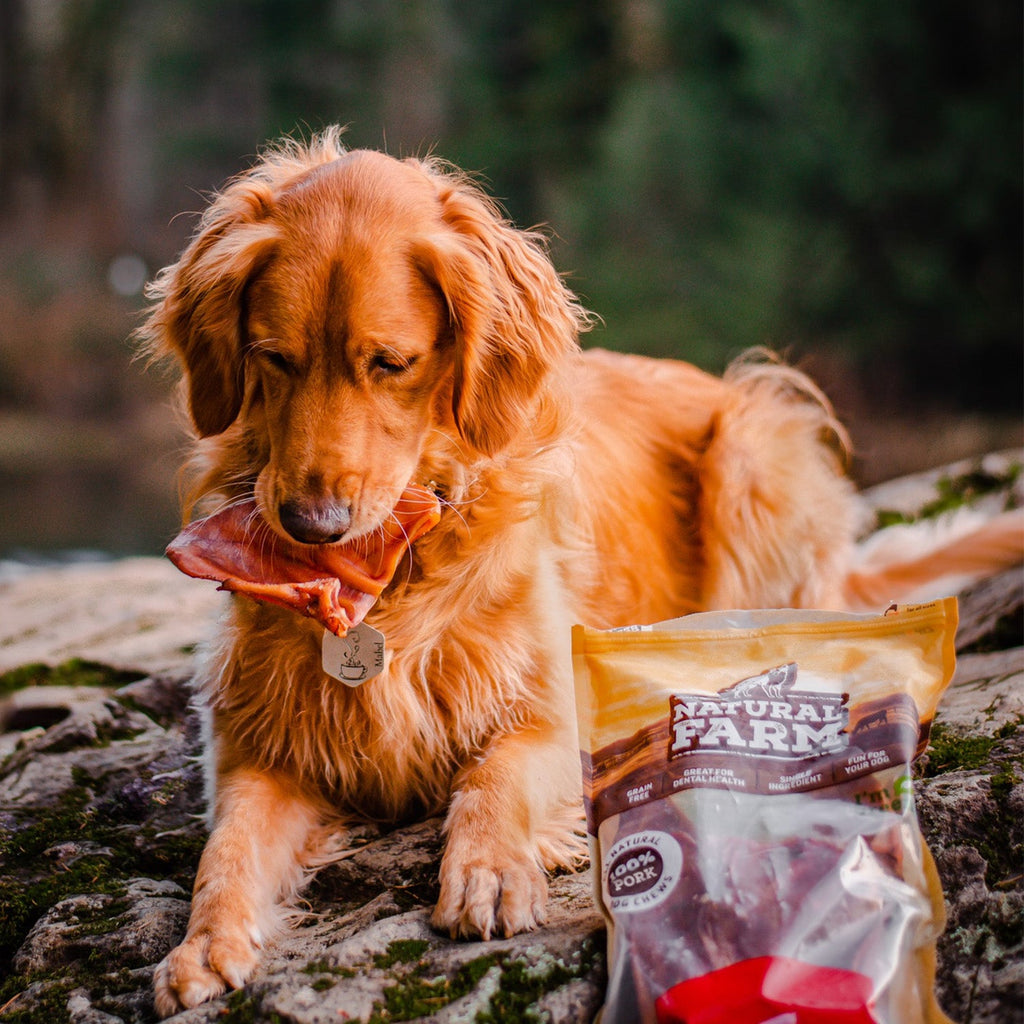 Pig Ear Treats for Dogs Natural Farm Shop Ears