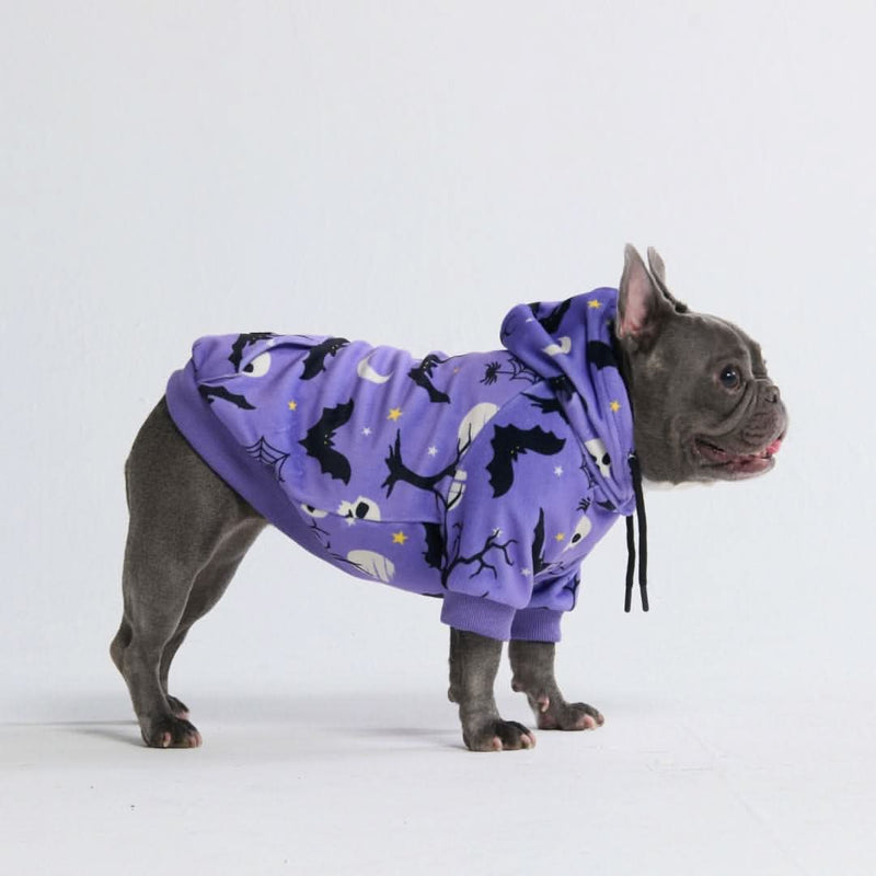 Halloween Dog Hoodie, Halloween Purple Hoodie / L