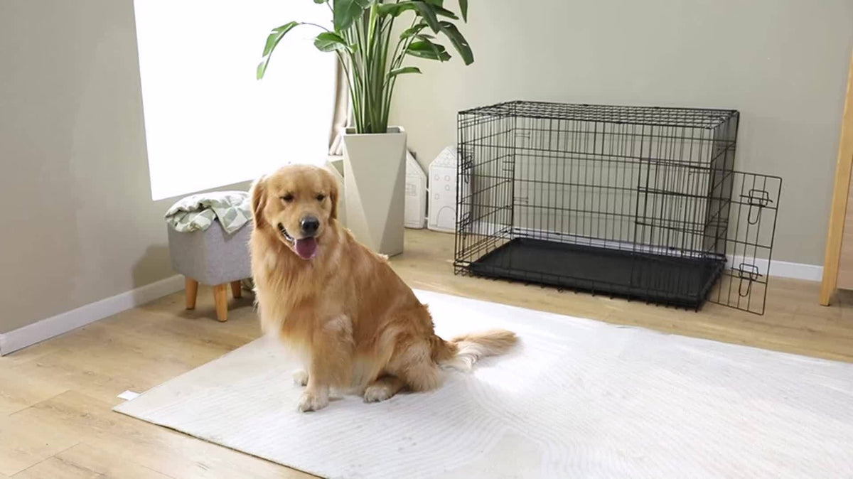 Dog Crate with Divider Panel & Double Door – Folding Metal Wire Dog Cage with Leak-Proof Tray, Indoor Outdoor Travel Pet Kennel