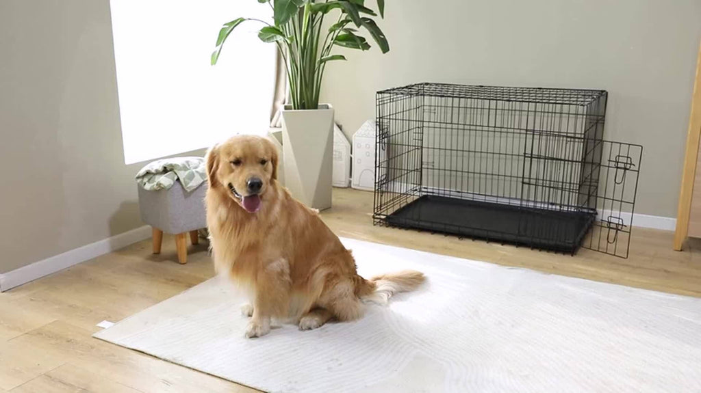 Folding Wire Dog Crate with Divider, Pull-Out Tray, Two Doors and Five Sizes from 24.41 to 48.4 Inches