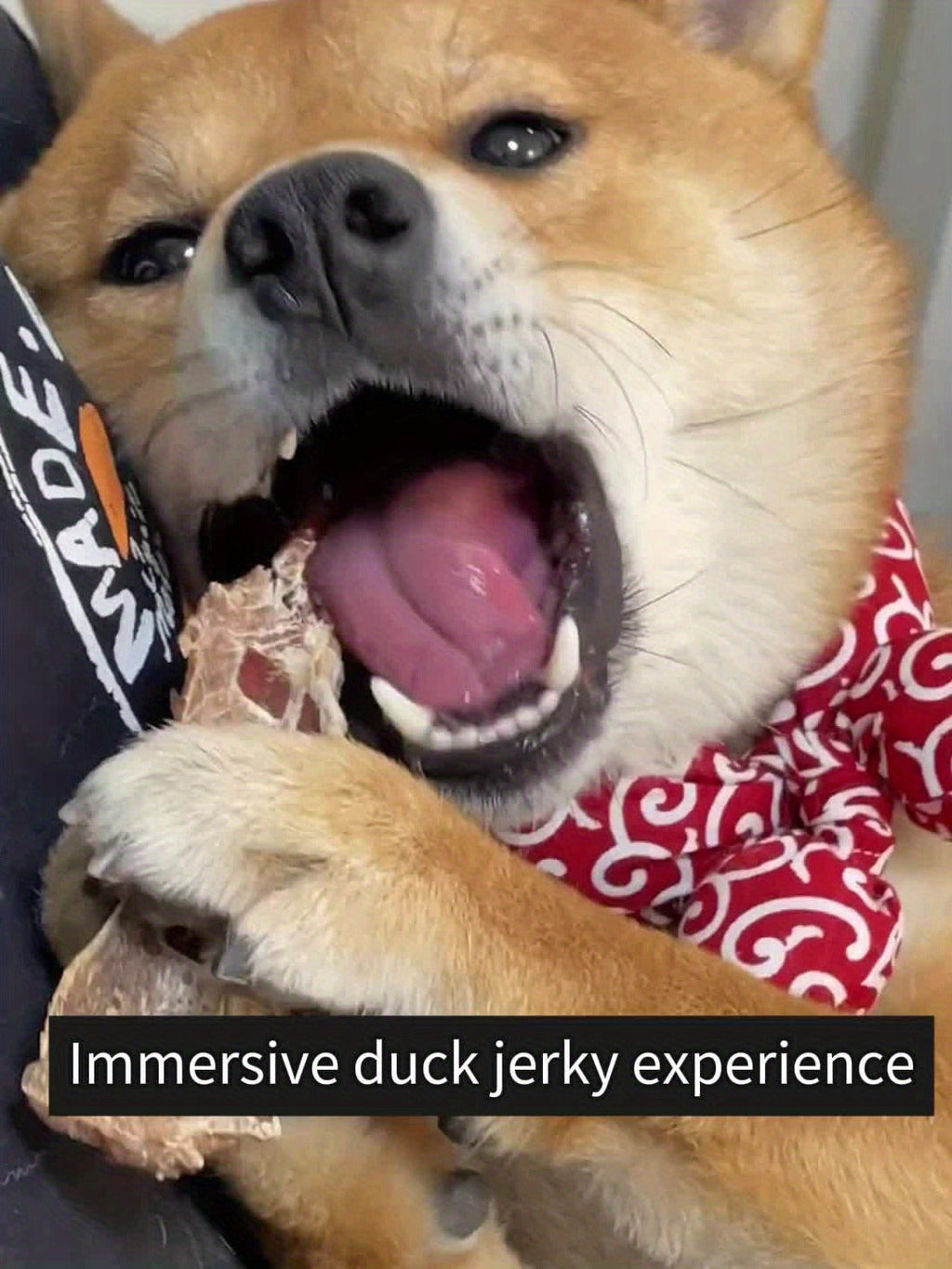 Dog Treats Duck Jerky Bundle with Bite, Duo and Mixed Chew Choices in Five Retained Pack Options