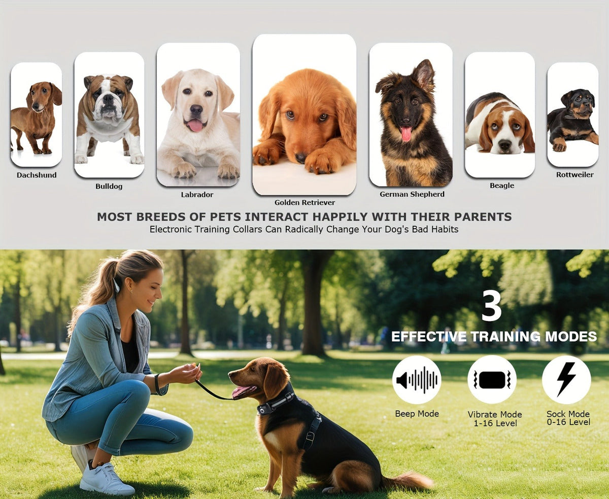 Dog Training Collar Green Remote Set with 730-Meter Range, Three Cue Modes and Two- or Three-Receiver Options