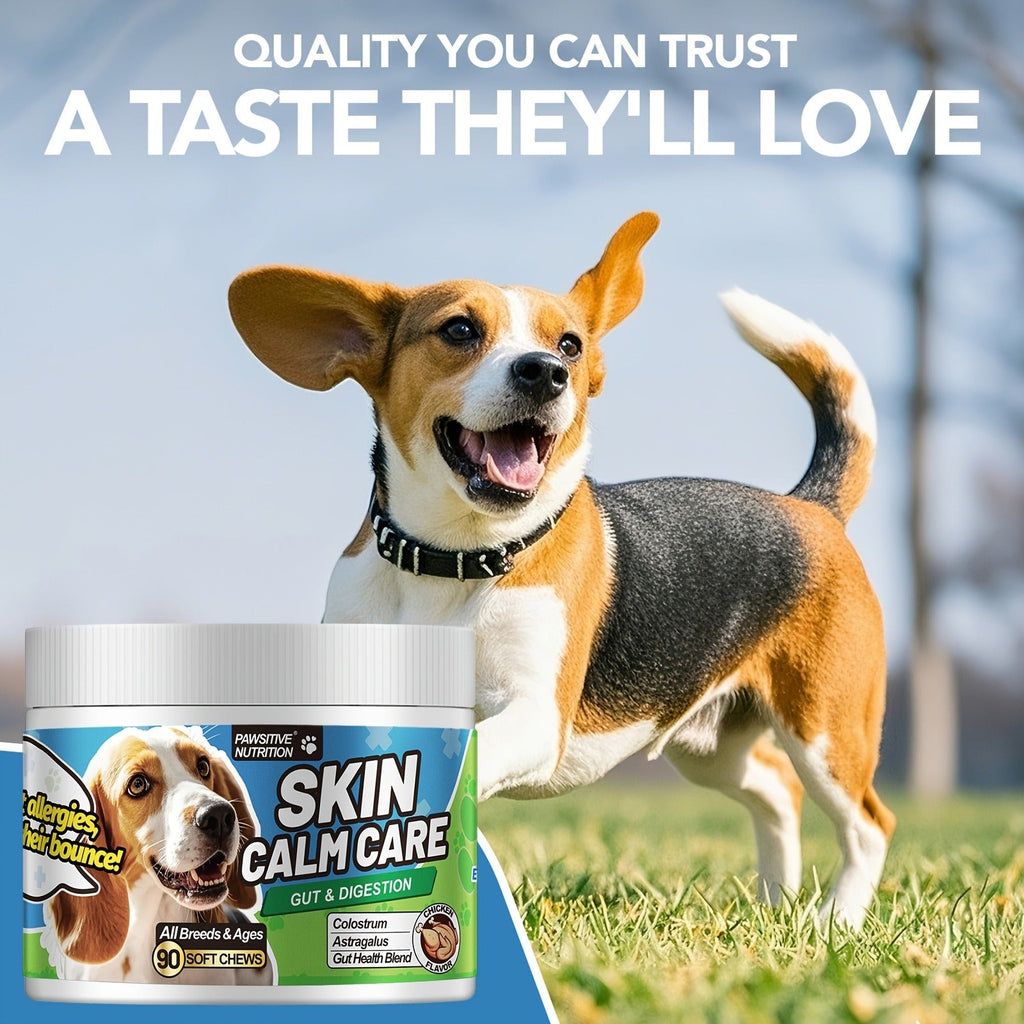 Dog Skin & Immune Probiotic Chews with Bovine Colostrum – 6 Billion CFUs, Dried Fermentate & Astragalus for Skin Calm & Immune Support