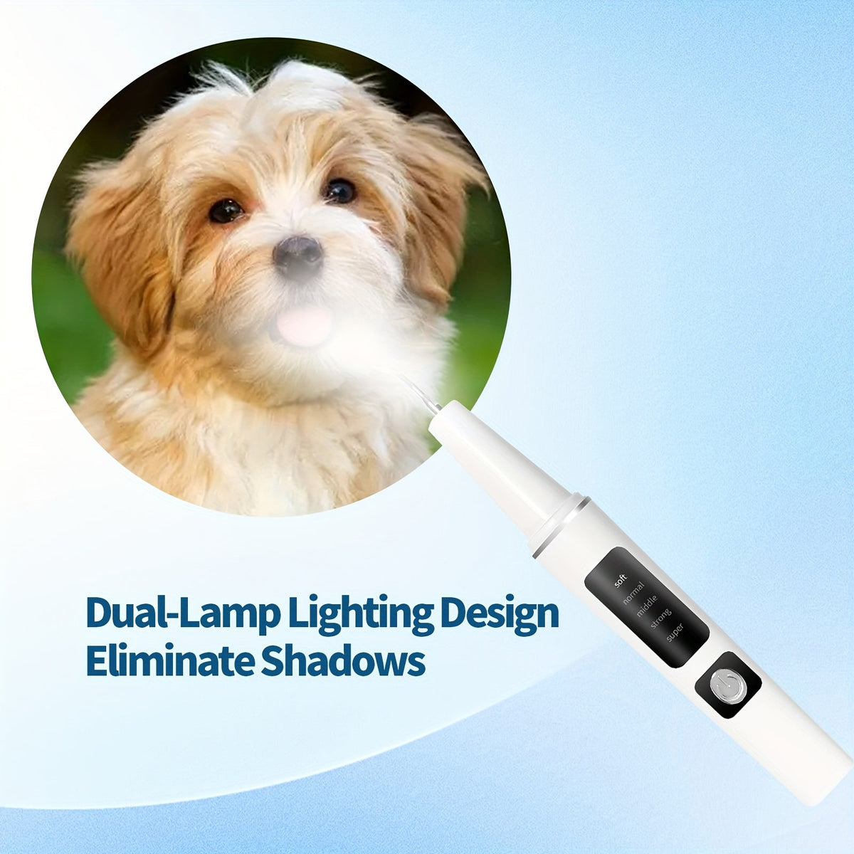 USB-Rechargeable Pet Dental Cleaning Tool with Four Interchangeable Heads, Five Modes and Dual-Lamp Illumination
