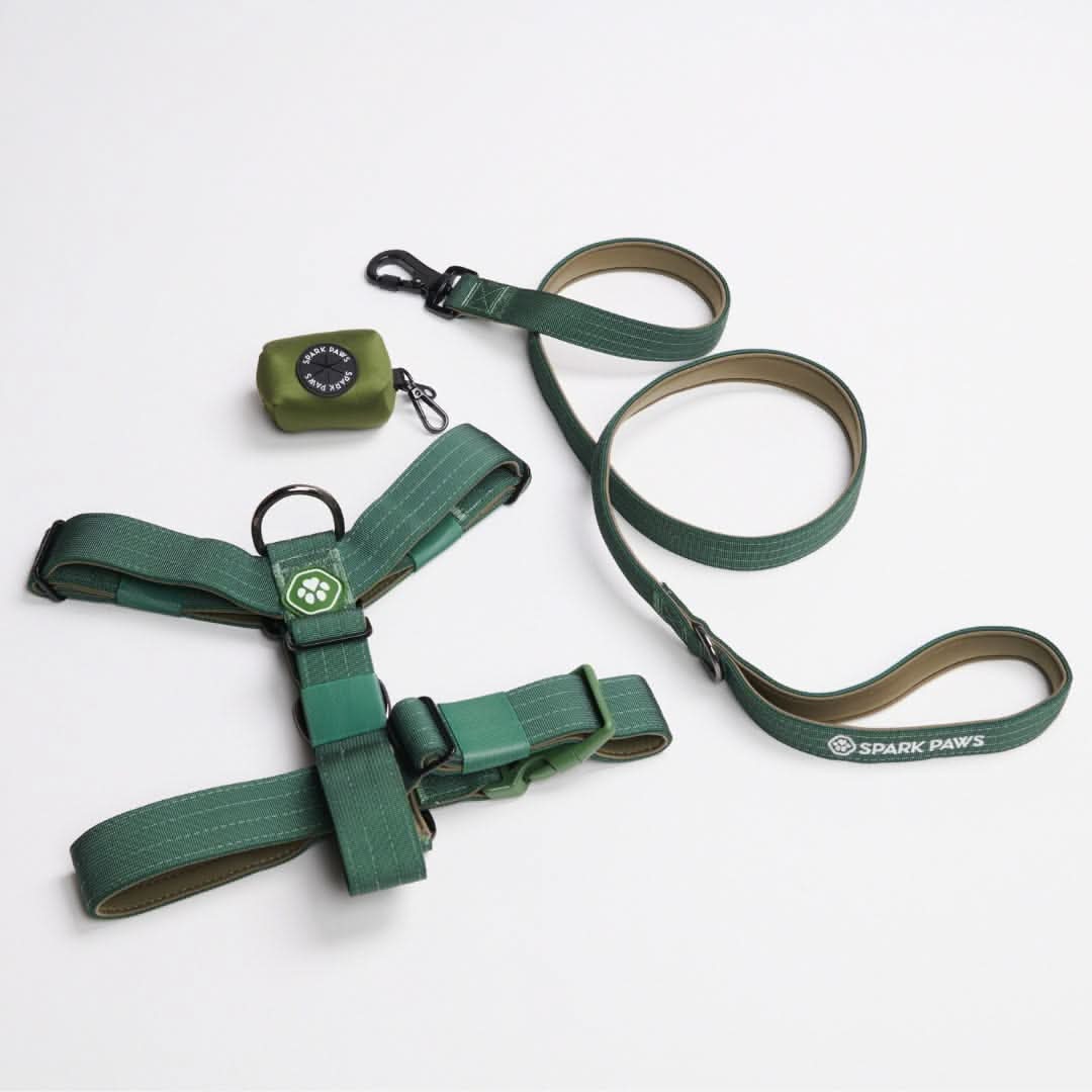 No-Pull Dog Harness Walking Set Green Harness / Size 3