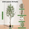 Artificial Olive Tree with Black or White Pot in 6 and 8 Foot Height Checkouts for Indoor Decor