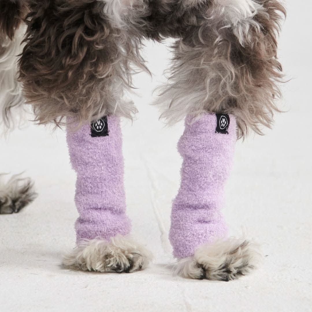 Stretch Fleece Dog Leg Warmers, Leg - Purple / S (10-15lbs/4.5-7kg)