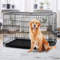 Dog Crate Double Door Folding Metal Cage with Divider & Leak-Proof Tray – 42 & 48 Inch Wire Kennel for Puppies, Medium & Large Dogs