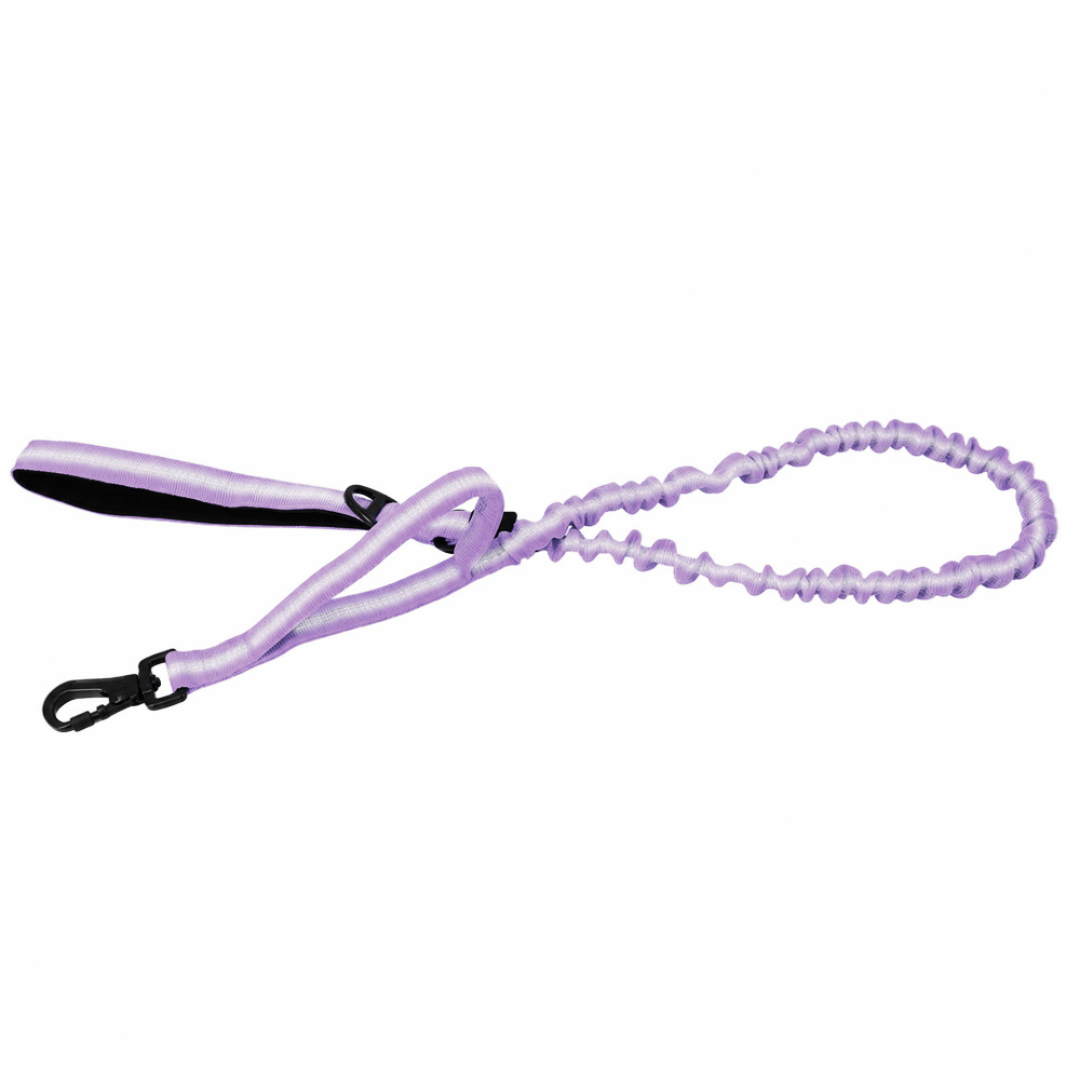 Tactical Bungee Dog Leash Lavender