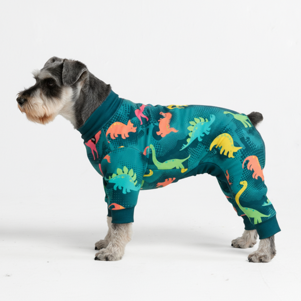 Dinosaur Dog Pajamas, M