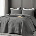 Quilt Coverlet Set 2-3 Piece Lightweight Microfiber Bedspread Coin Pattern Soft Skin-Friendly Anti-Allergy Machine Washable Twin Full Queen