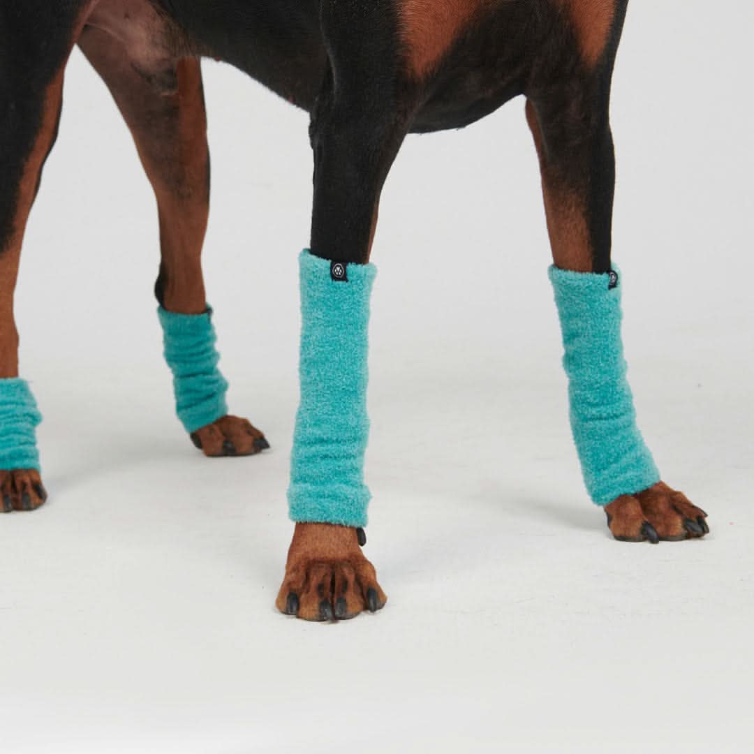 Stretch Fleece Dog Leg Warmers, Leg - Teal / S (10-15lbs/4.5-7kg)
