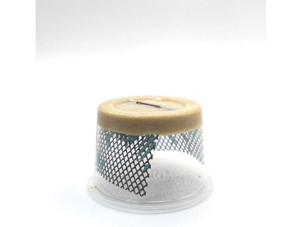 Live Medium Hornworm Feeder Insects, 24ct