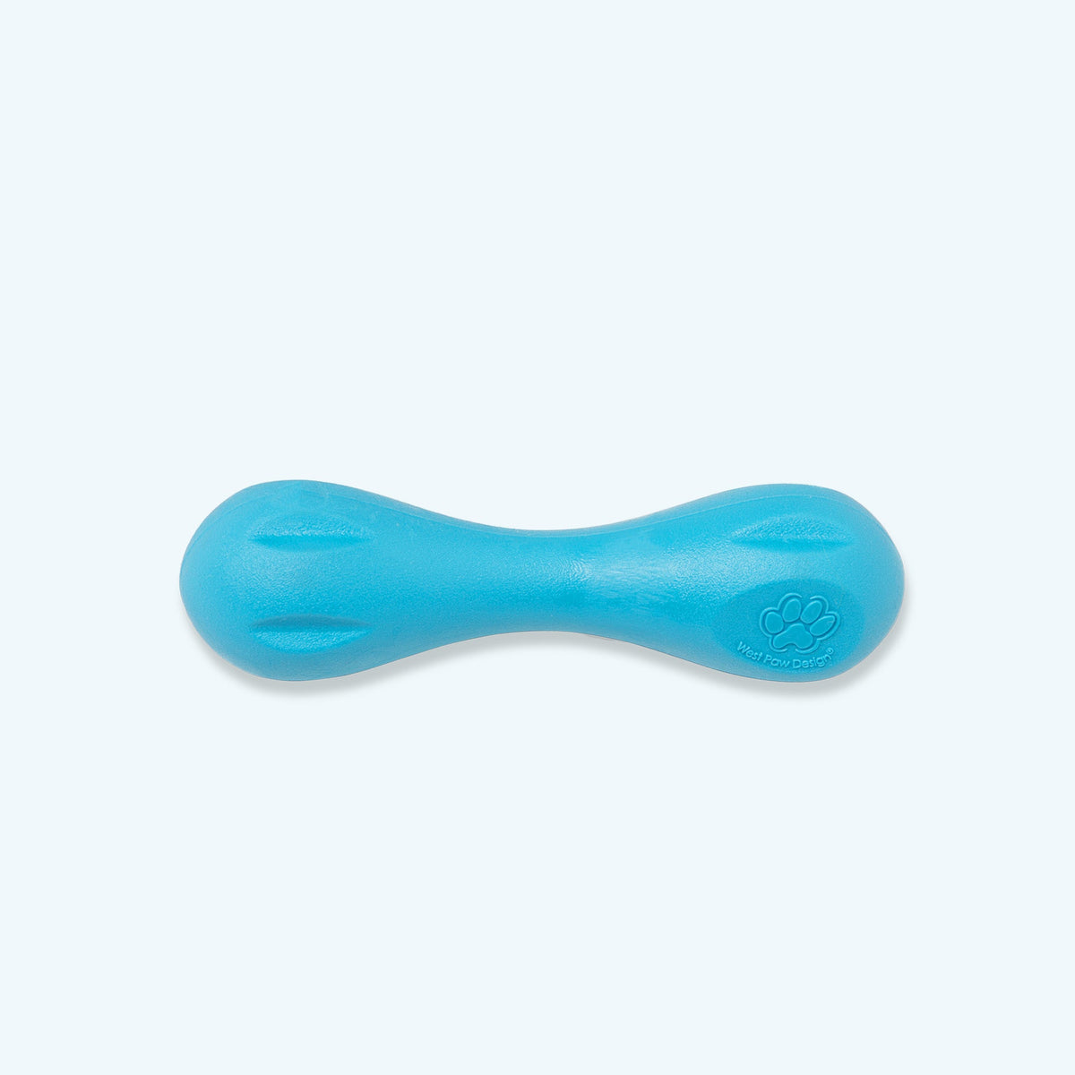Floatable Bone-Shaped Dog Chew Toy, XS / Aqua Blue
