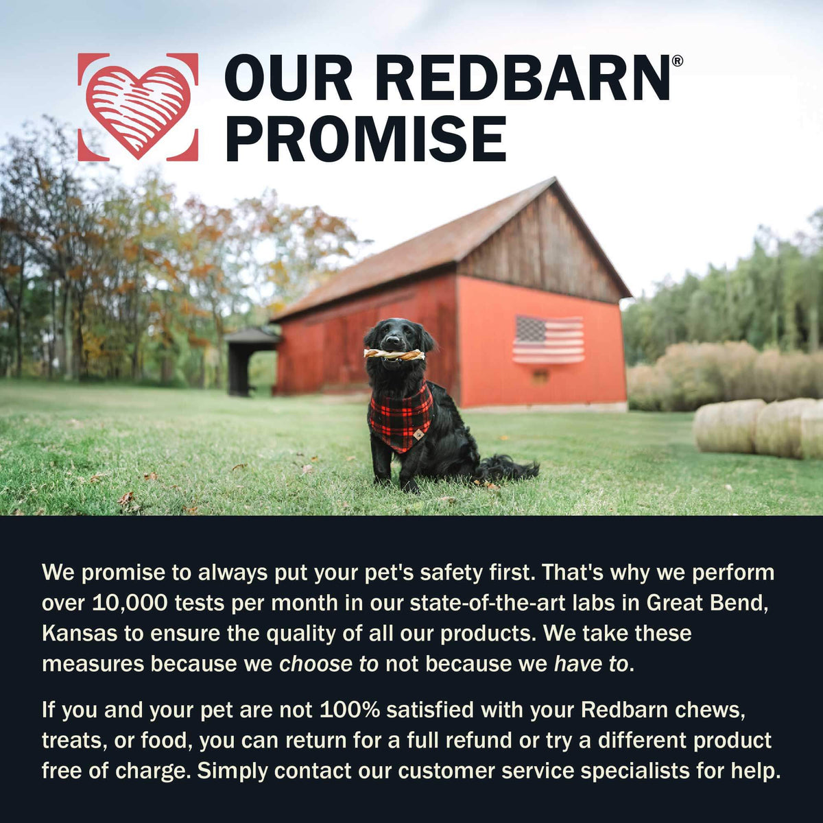 Dog sitting in front of a red barn with text about Redbarn's promise.