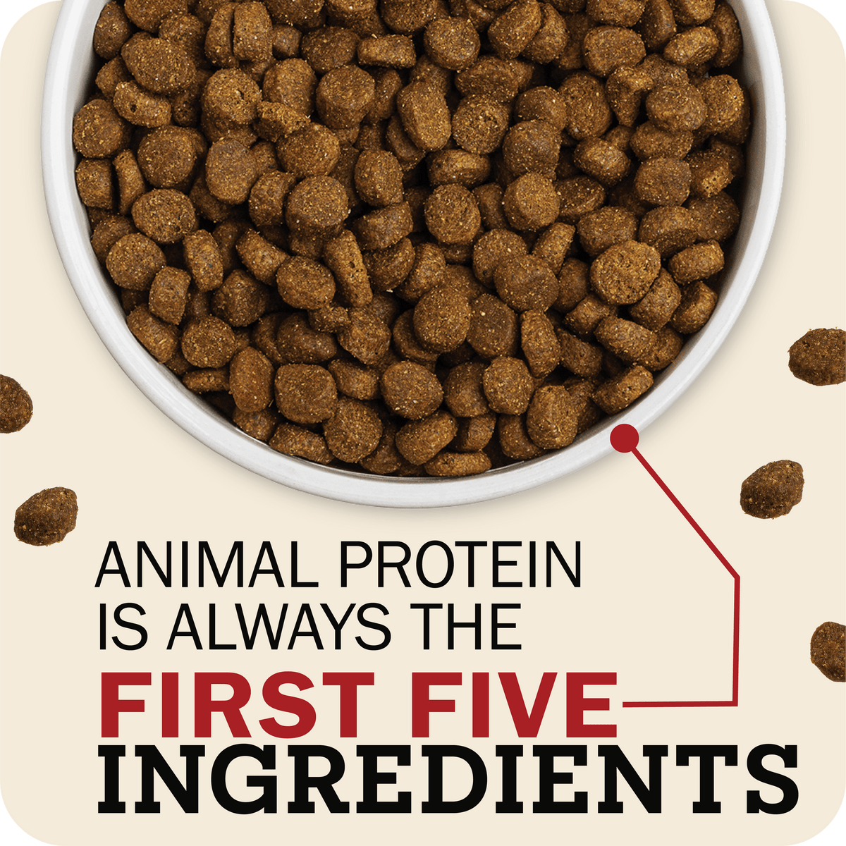 Dog food bowl filled with kibble on a beige background with text about animal protein ingredients.