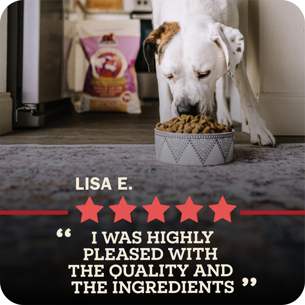 Dog eating redbarn kibble with a five-star rating and review text overlay.