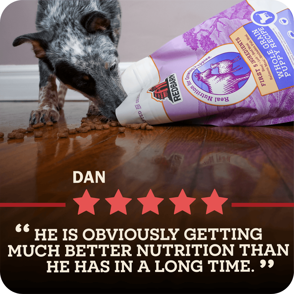Dog eating from a bag of Redbarn puppy food with a five-star rating and review text.