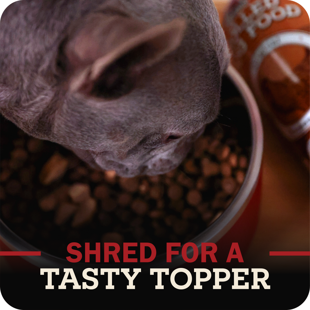 Small gray dog with a bowl of food and text 'Shred for a Tasty Topper' on a dark background