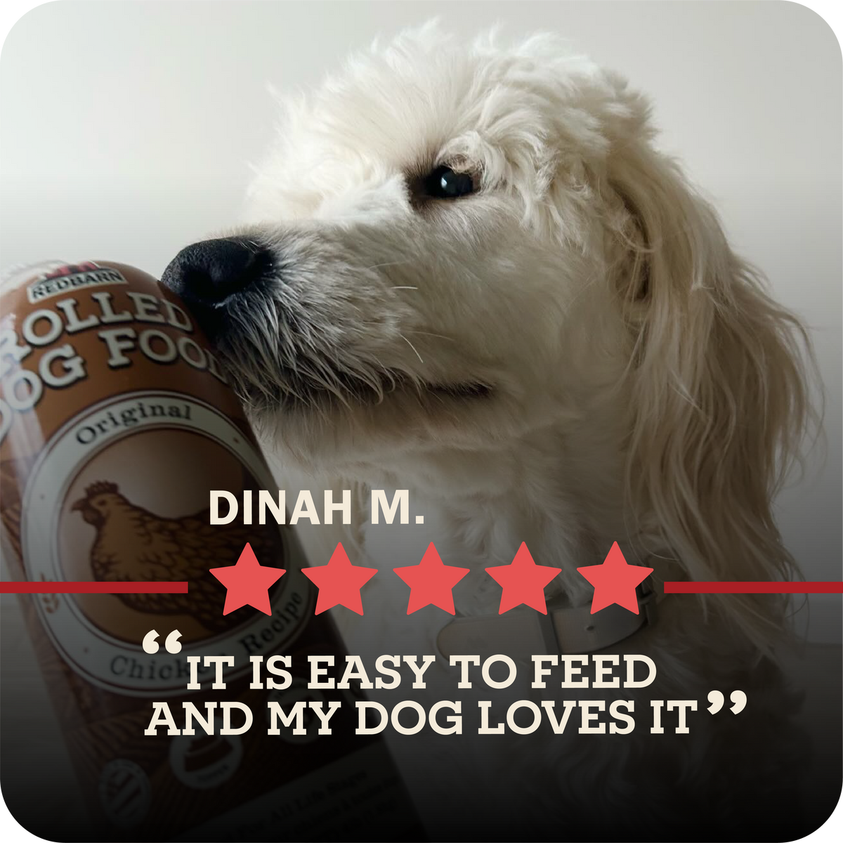 White dog with a Chicken rolled dog food and five-star rating
