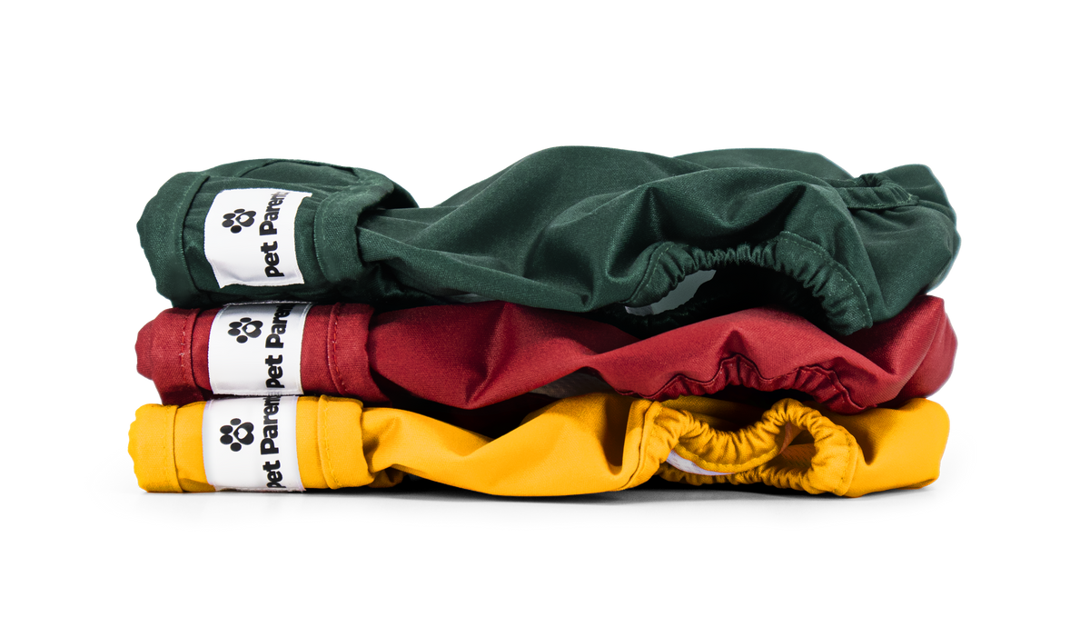 Washable Dog Diapers, Samba (Green + Red + Yellow) / Extra Small ( 4-10")