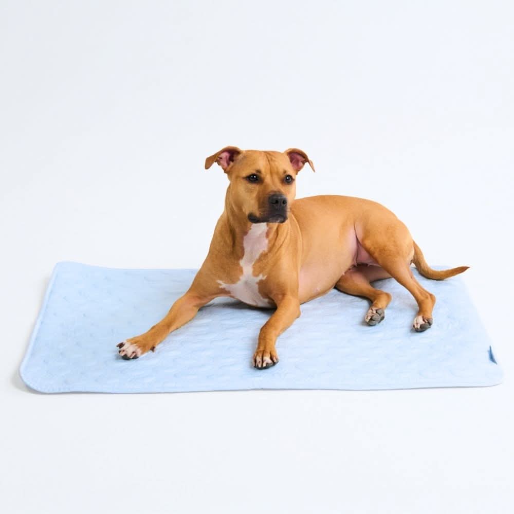 Breathable Cooling Dog Mat Hearts Blue / L