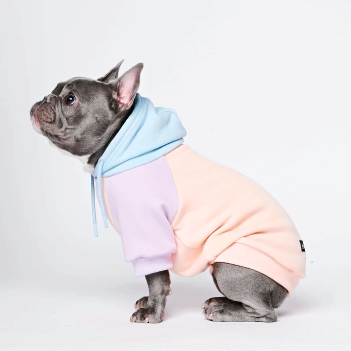 Stretch Fleece Dog Hoodie, XL