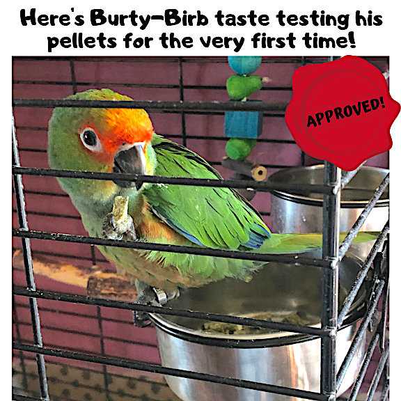 Parrot-approved organic pellets