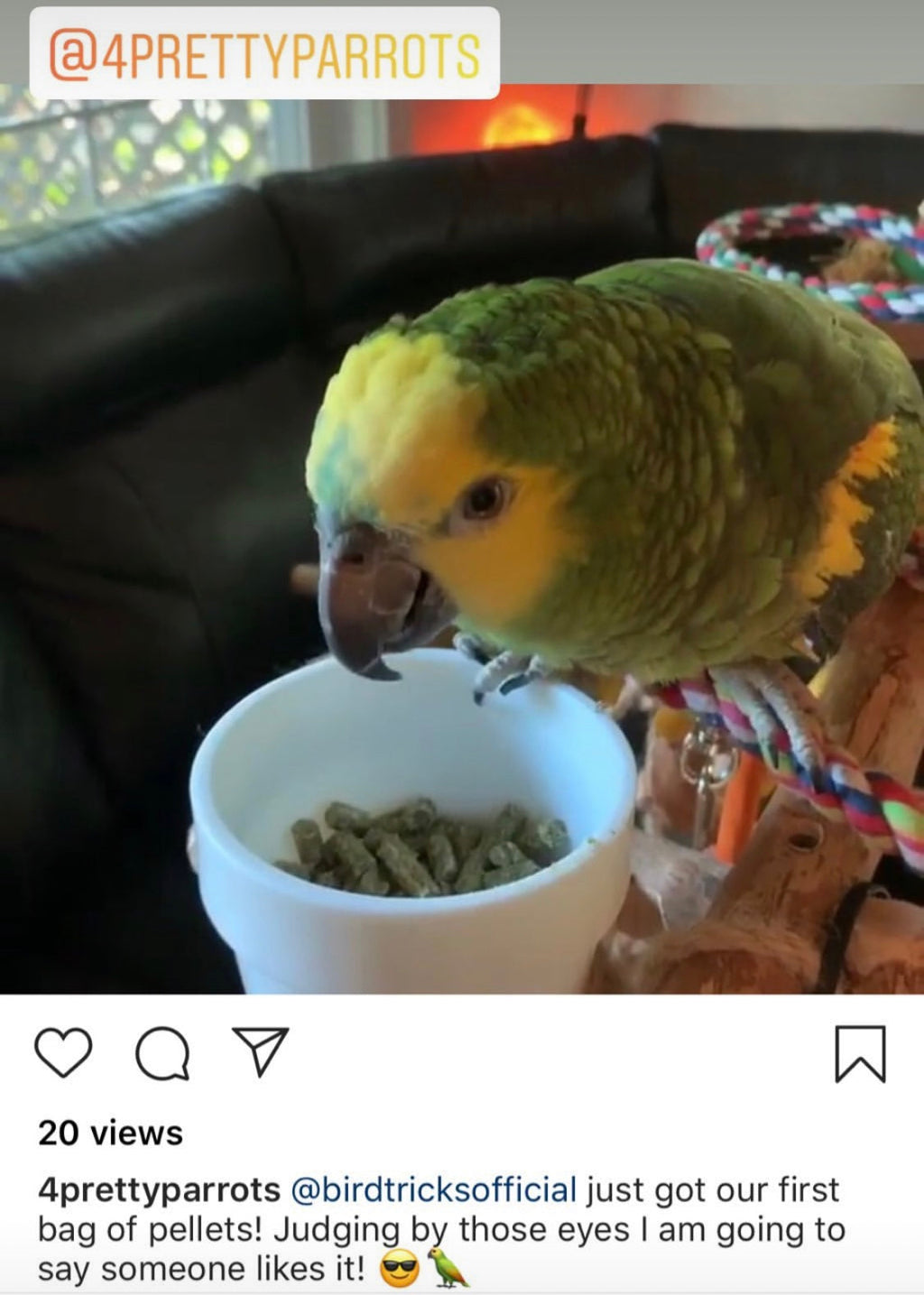 Happy parrot organic parrot food
