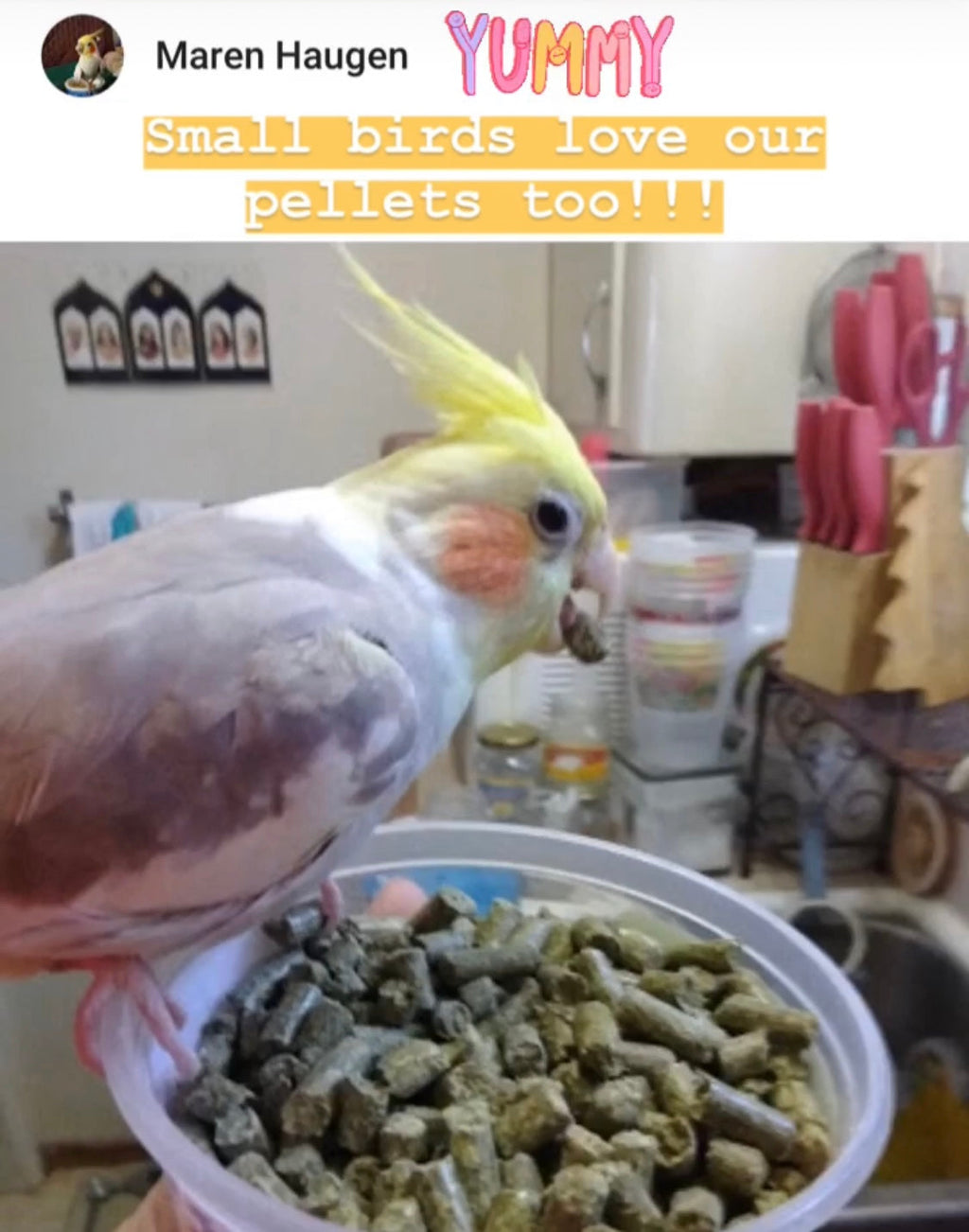 Parrot Pellets for Small birds