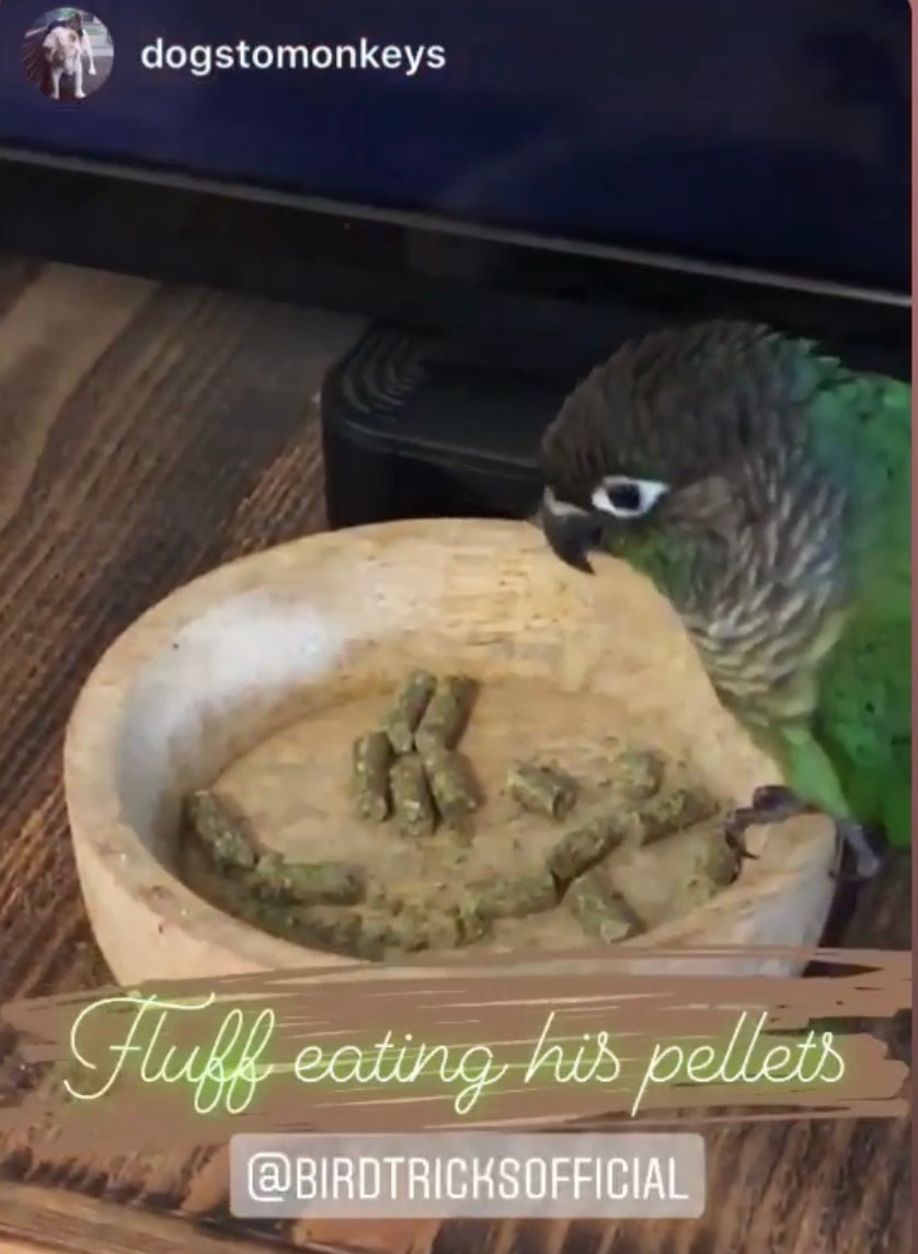 Cold-pressed organic parrot pellets parrot food