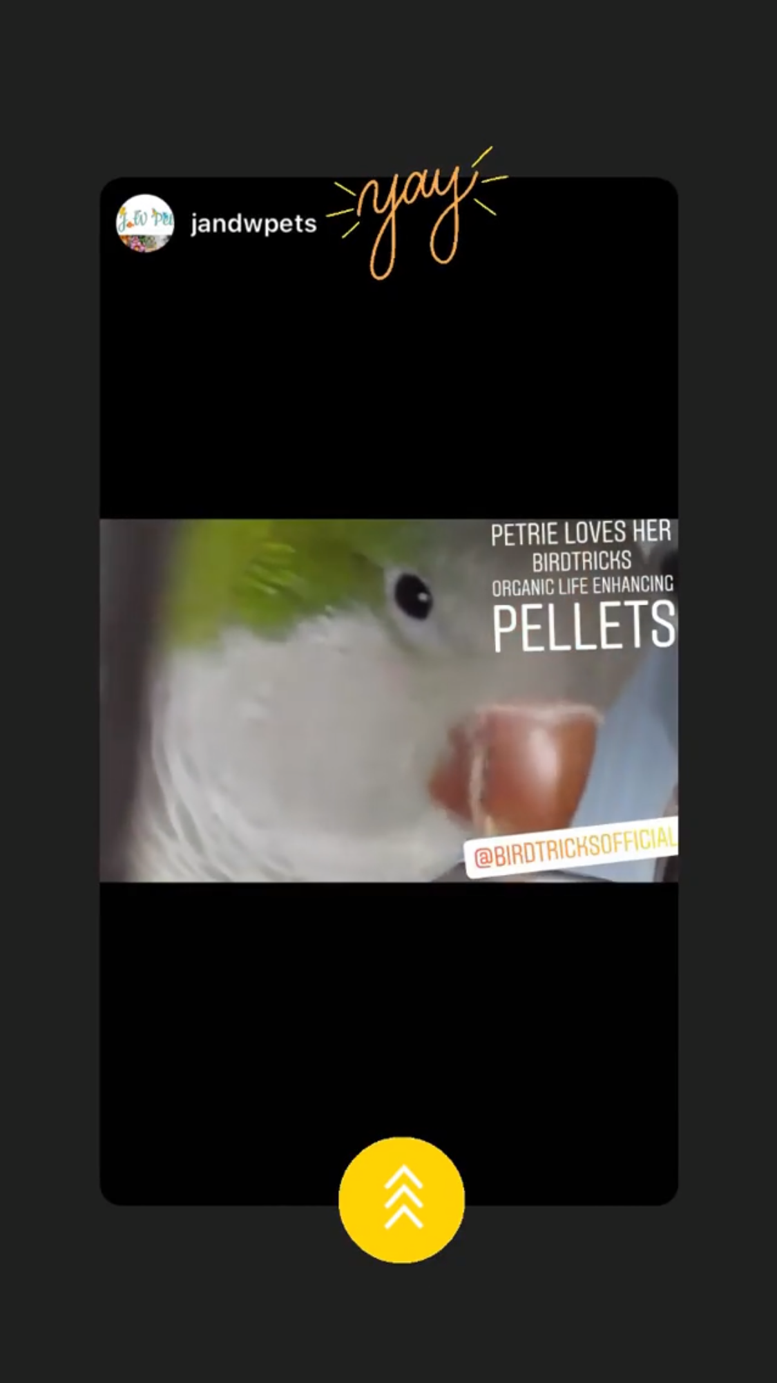 Life enhancing organic parrot food