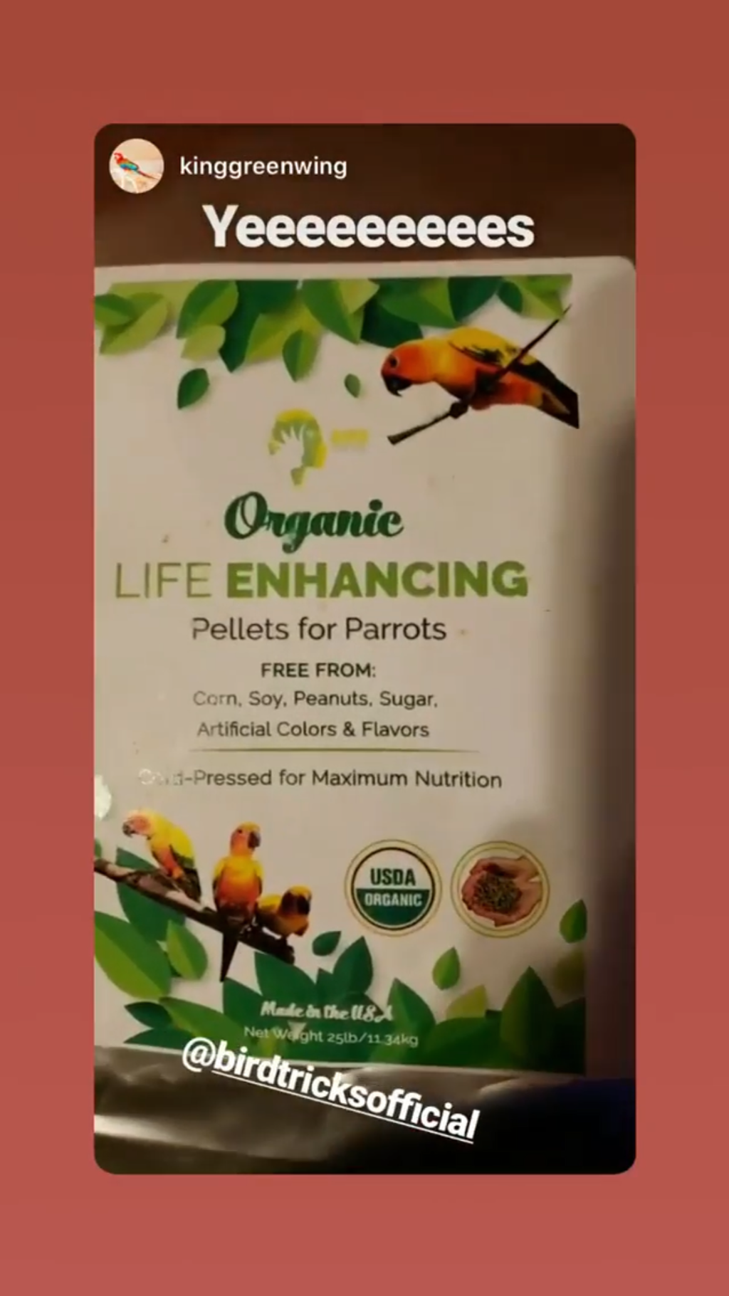 Cold-pressed organic pellets for parrots