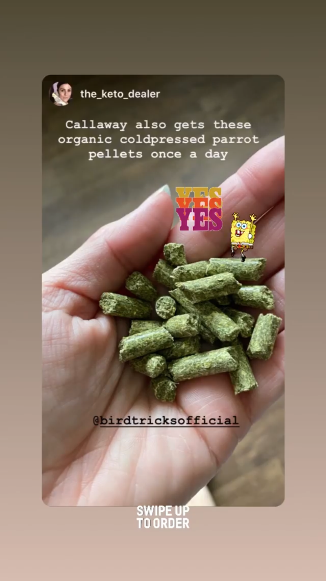 Cold-pressed parrot pellets