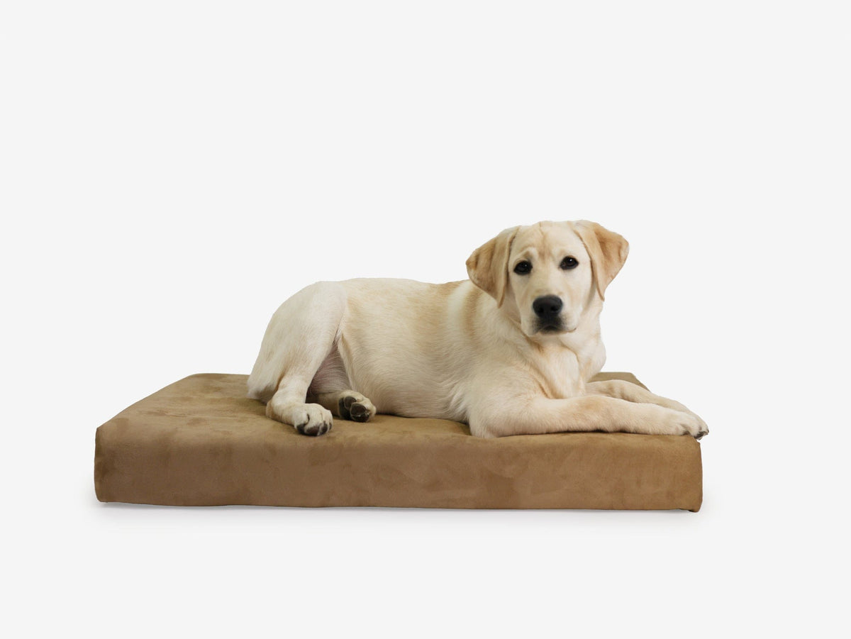 Orthopedic Dog Crate Bed Medium - 33.2" X 21.2" X 4" / Tough Cordura