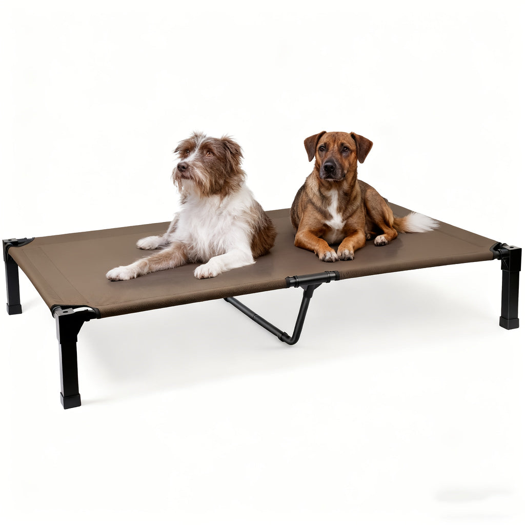 Elevated Mesh Dog Cot Bed with Folding-Leg Frame, Seven Colors and Four Labeled Sizes from 35 to 60 Inches