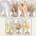 Dried Flower Bouquet Pampas Grass with Artificial White Beige Roses 51 91pcs Boho Dried for Entryways, Bedrooms and Living Spaces