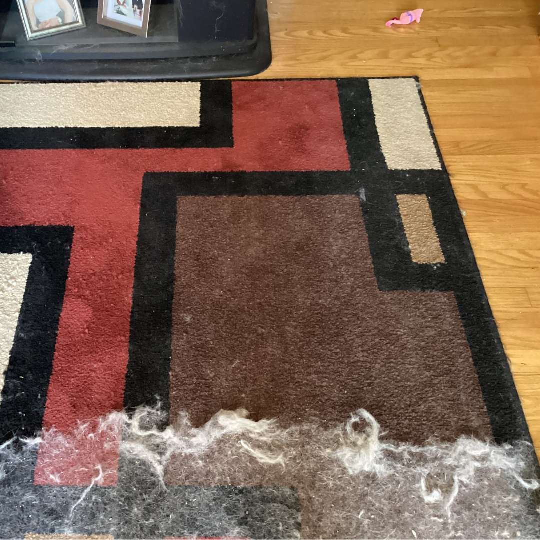 Wide Pet Hair Remover product image 4