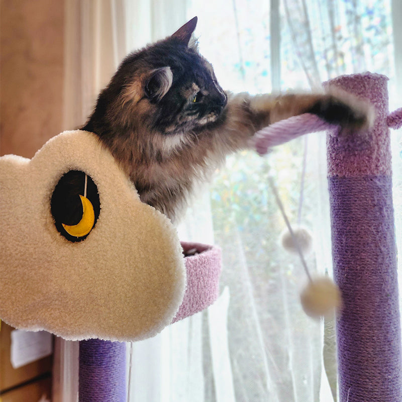 Moonlight Cat Tree