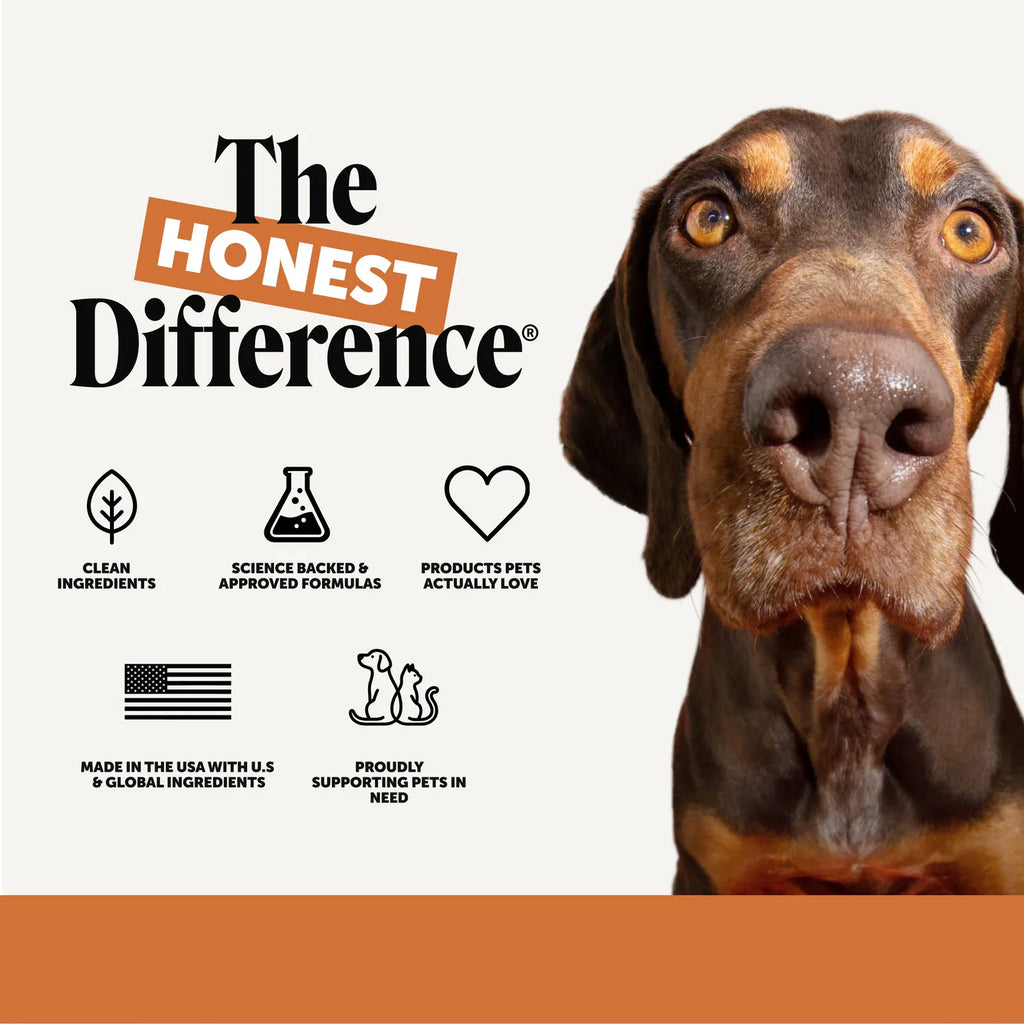 Flea + Tick Support for Dogs (Bacon Flavor) product image 8