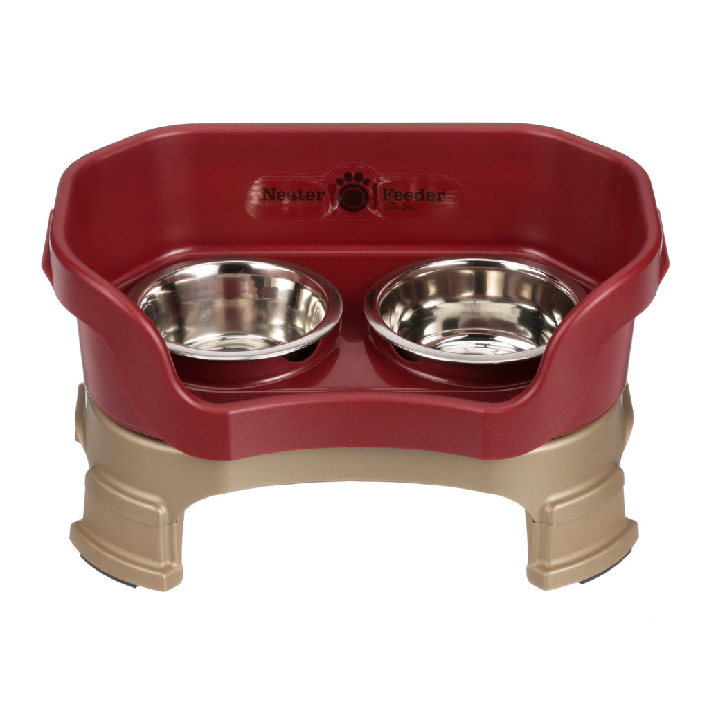 Neater Feeder Deluxe small with leg extensions in Cranberry with two stainless steel bowls against a white background.