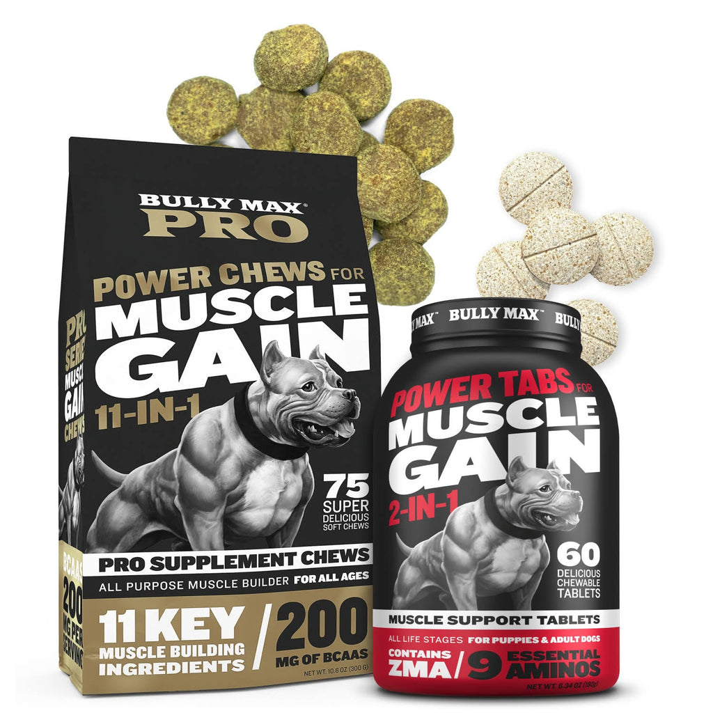 Dog Food and Supplement Bundle, Starter Pack