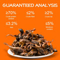 Air-Dried Whole Quail Cat Treats 70g – High Protein Natural Raw Diet Snack, Ready to Serve, No Cooking Required