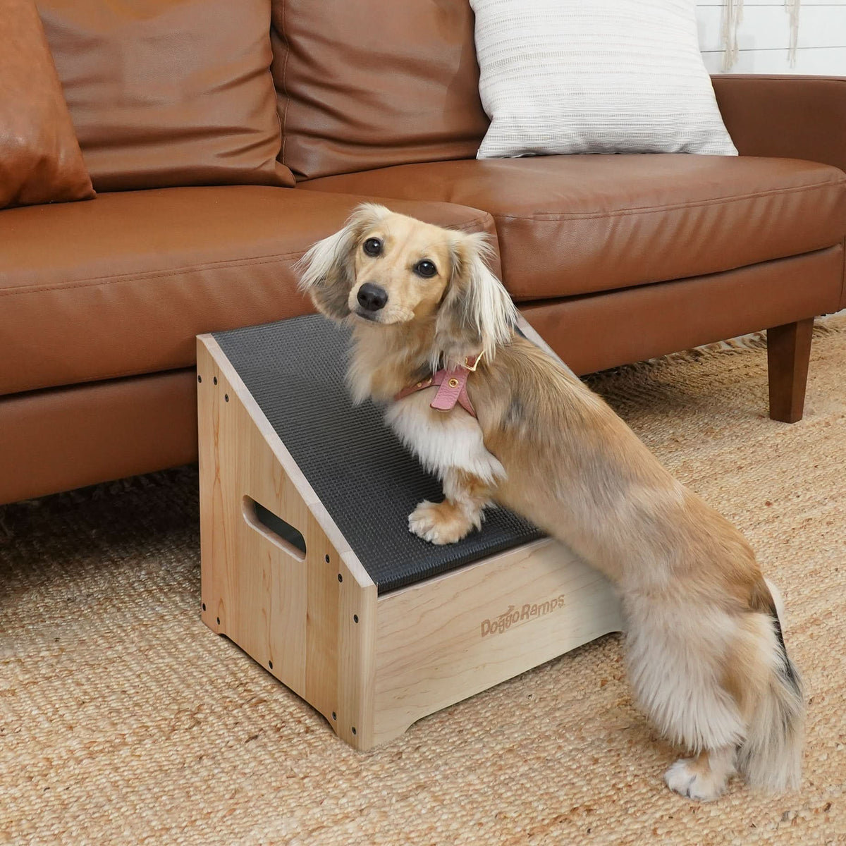 Compact Dog Step Ramp, Clear Natural