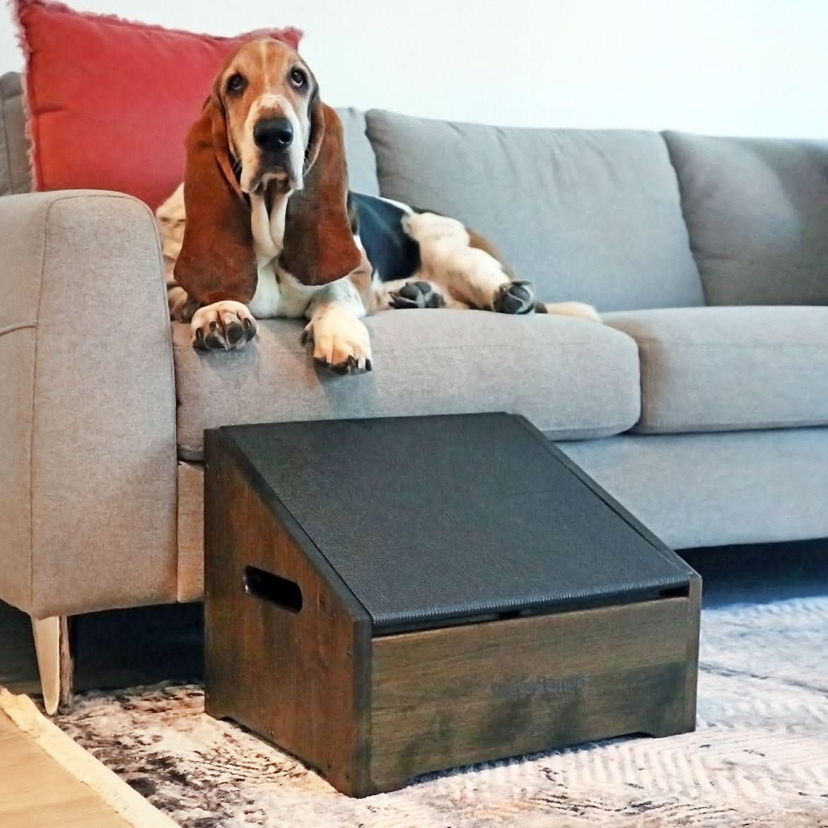 Compact Dog Step Ramp, Walnut