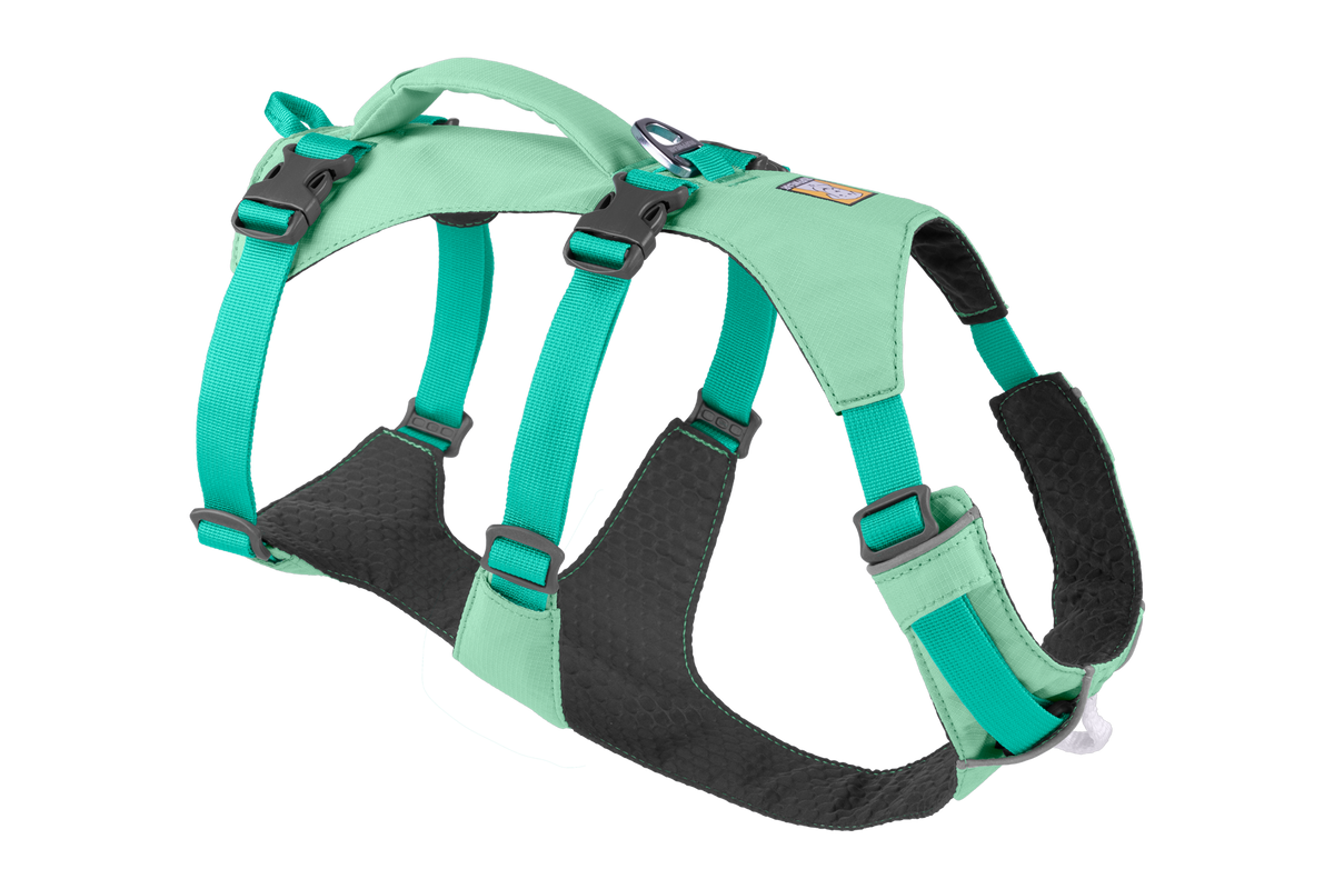 Lift-Assist Dog Harness, XXSmall / Sage Green (330) / New