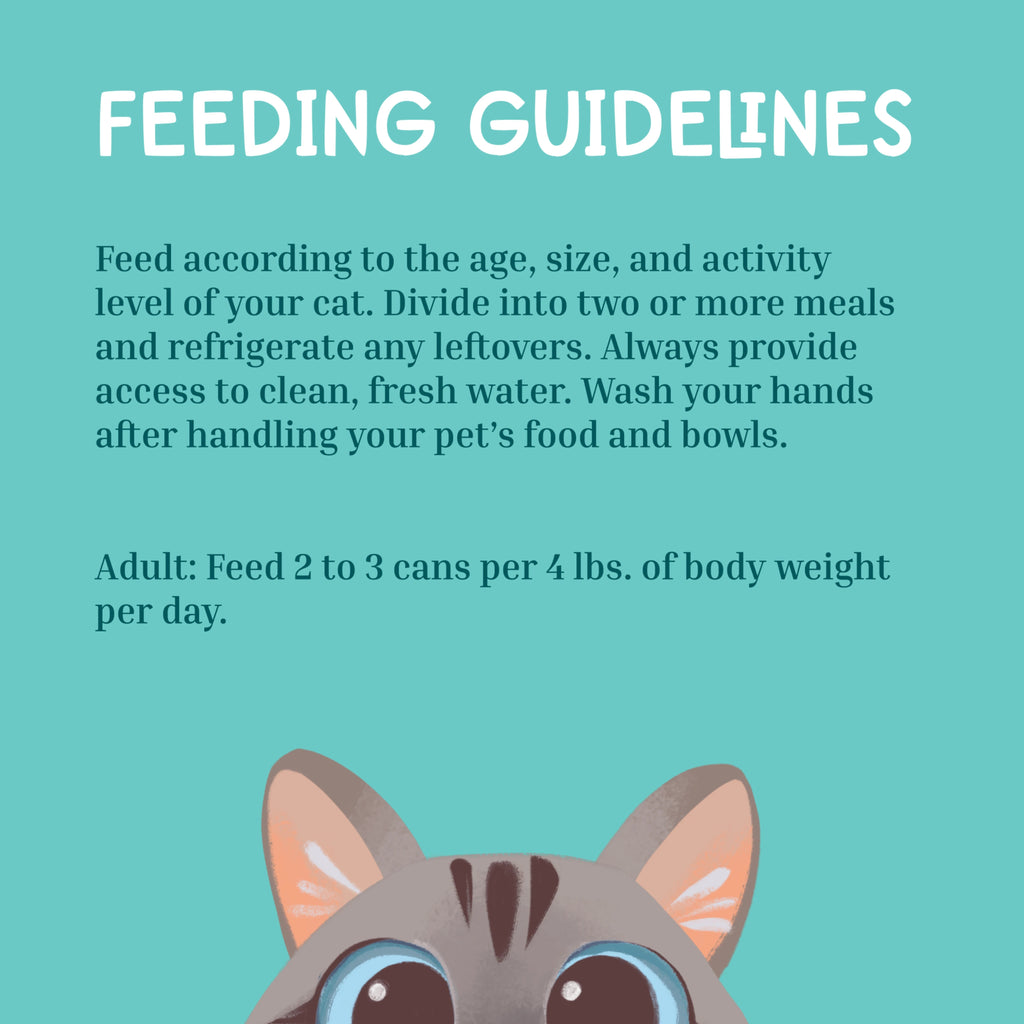 Cat feeding guidelines on a teal background with a cartoon cat face.